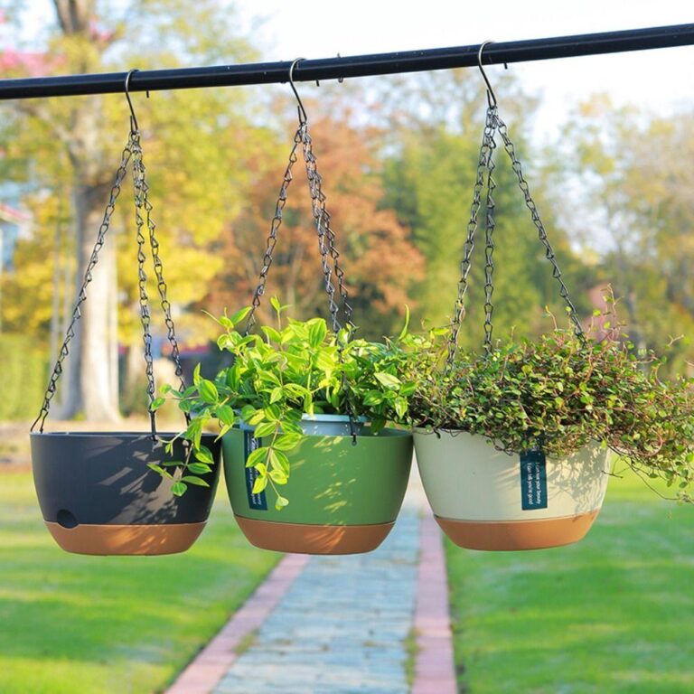 5 legume care cresc excelent în jardiniere suspendate 🧺🥬