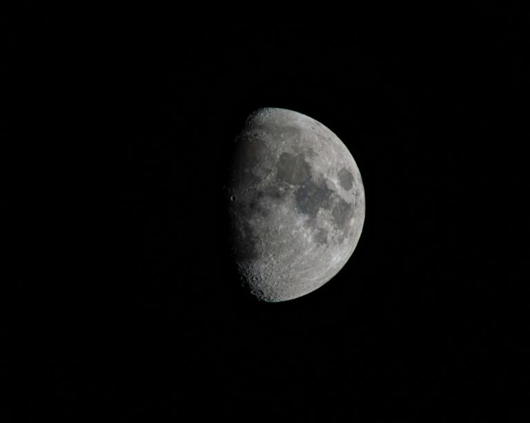 Cum influențează luna ciclul plantării și recoltării 🌕🌱