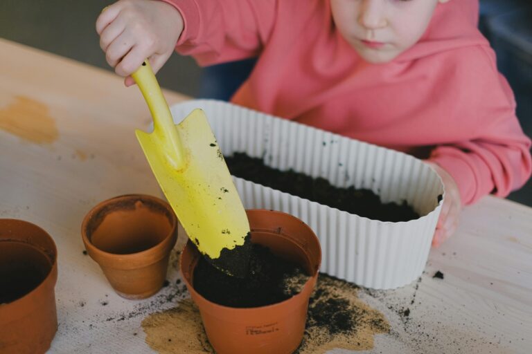 Grădinărit pentru copii: proiecte simple pentru micii grădinari 👧🧑🌱